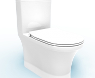 Bàn cầu liền khối TV21